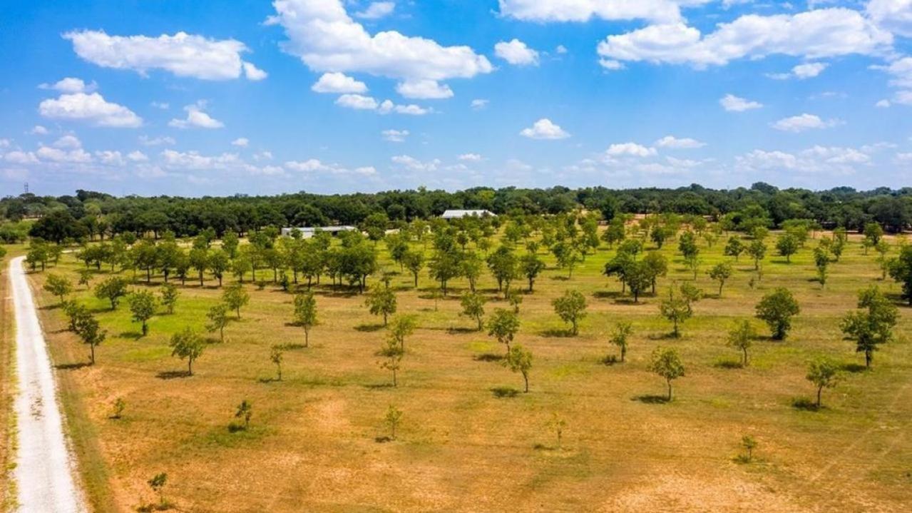 Pecan Farm Haus Fredericksburg Extérieur photo